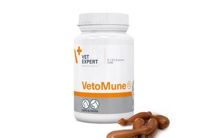 Vetexpert Vetomune 60 Kapsül