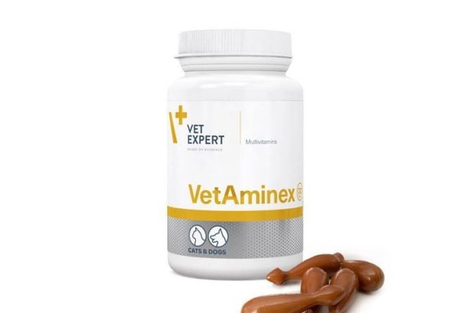 VetExpert VetAminex 60 Kaps