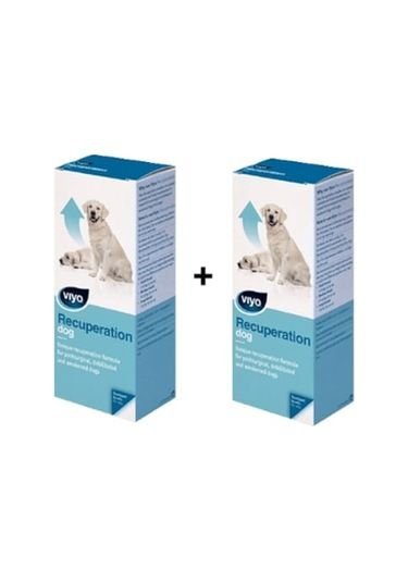 Viyo Recuperation Köpek 2li Paket