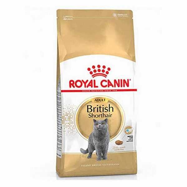Royal Canin British Shorthair 4 kg Yetişkin Kedi Maması