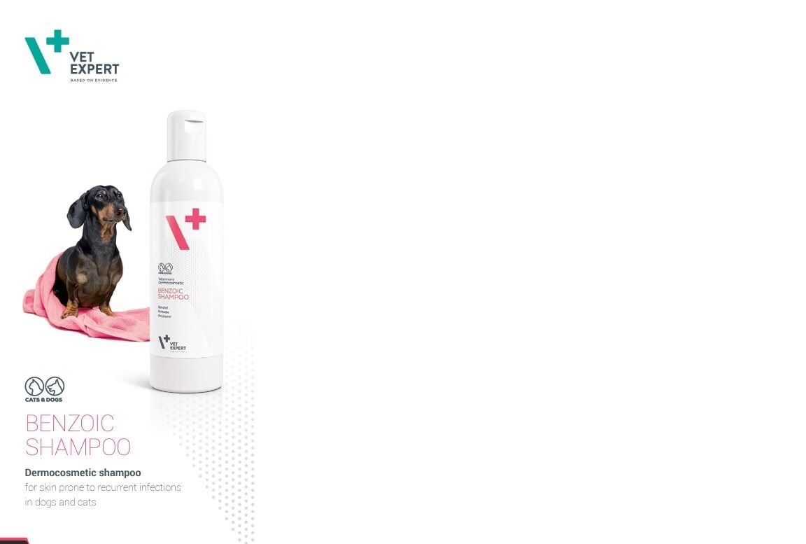 Vet Expert Benzoik Shampoo Kedi ve Köpek Şampuanı 250 ml