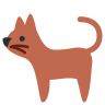 Kedi 