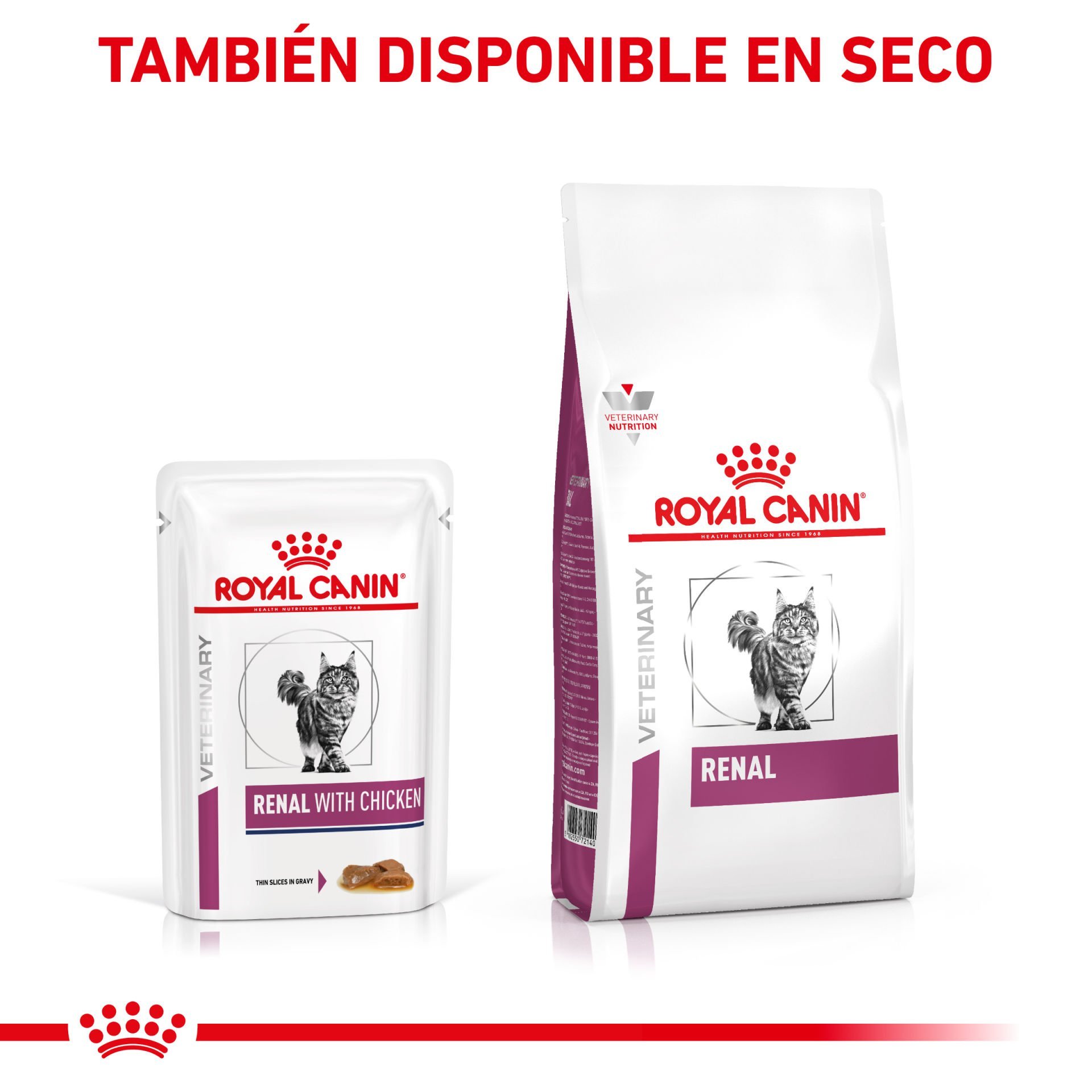 Royal Canin Renal Dry 2 kg kedi