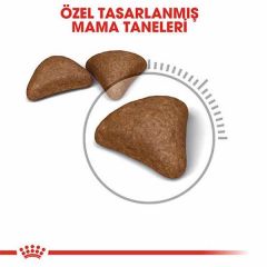 Royal Canin Hairball Adult Uzun Tüylü Yetişkin Kedi Maması 2 Kg
