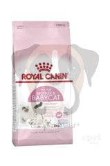 Royal Canin BabyCat Yavru Kuru Kedi Maması 2 Kg
