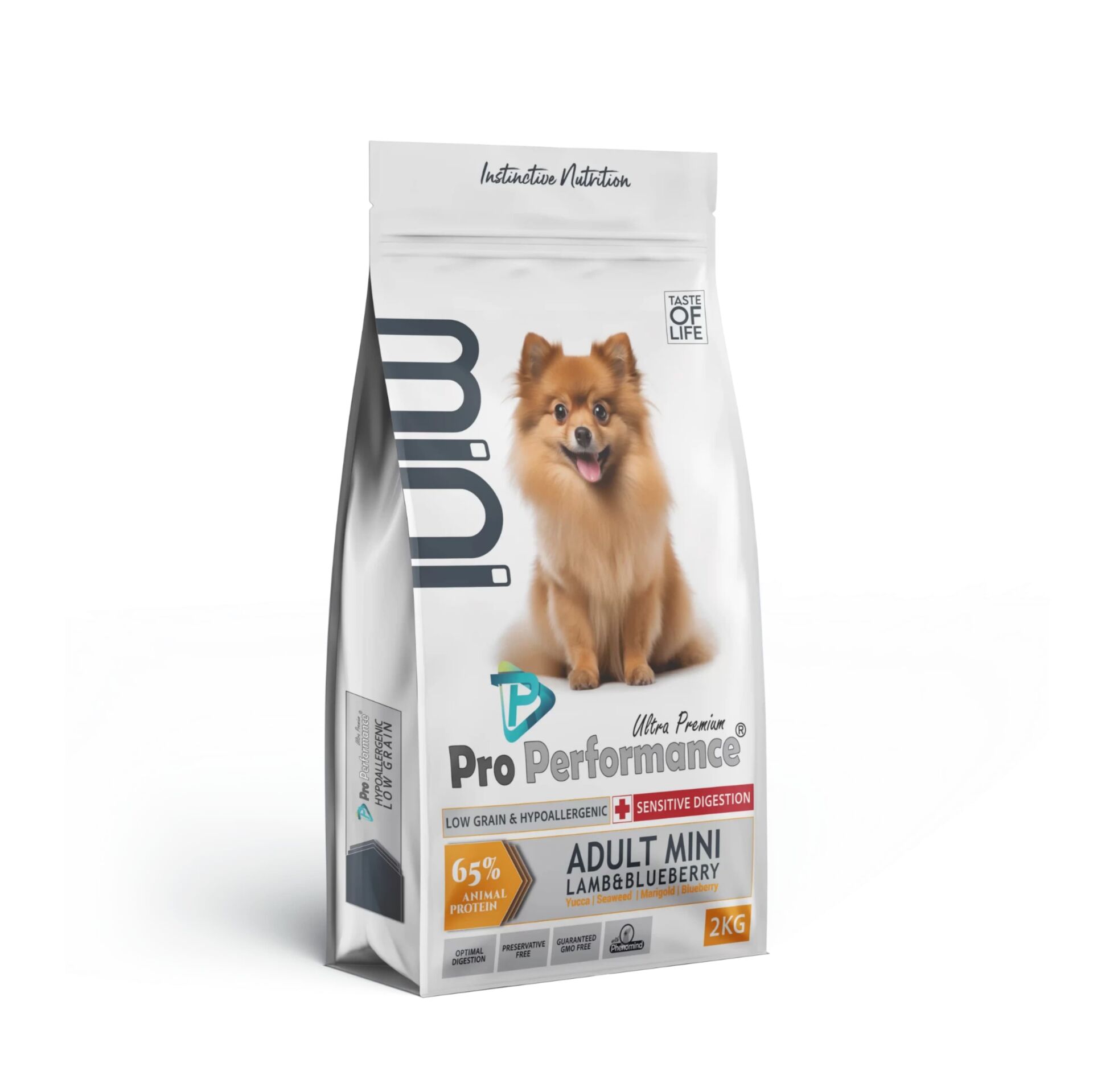 Pro Performance Adult Mini Lamb Blueberry Köpek Maması 2 KG