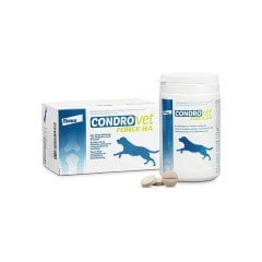 Elanco Condro Vet Force Ha Dog 120 Tablet SKT:12.2025