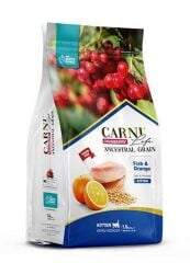 Carni Life Kitten Balık/Portakal Kedi Maması 5 KG